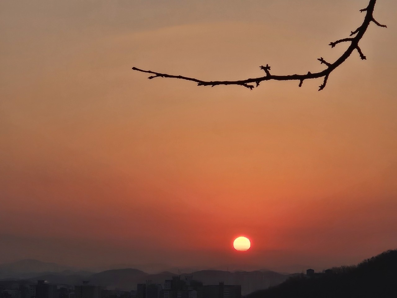 2025 을사년 독산성 해맞이2.jpg