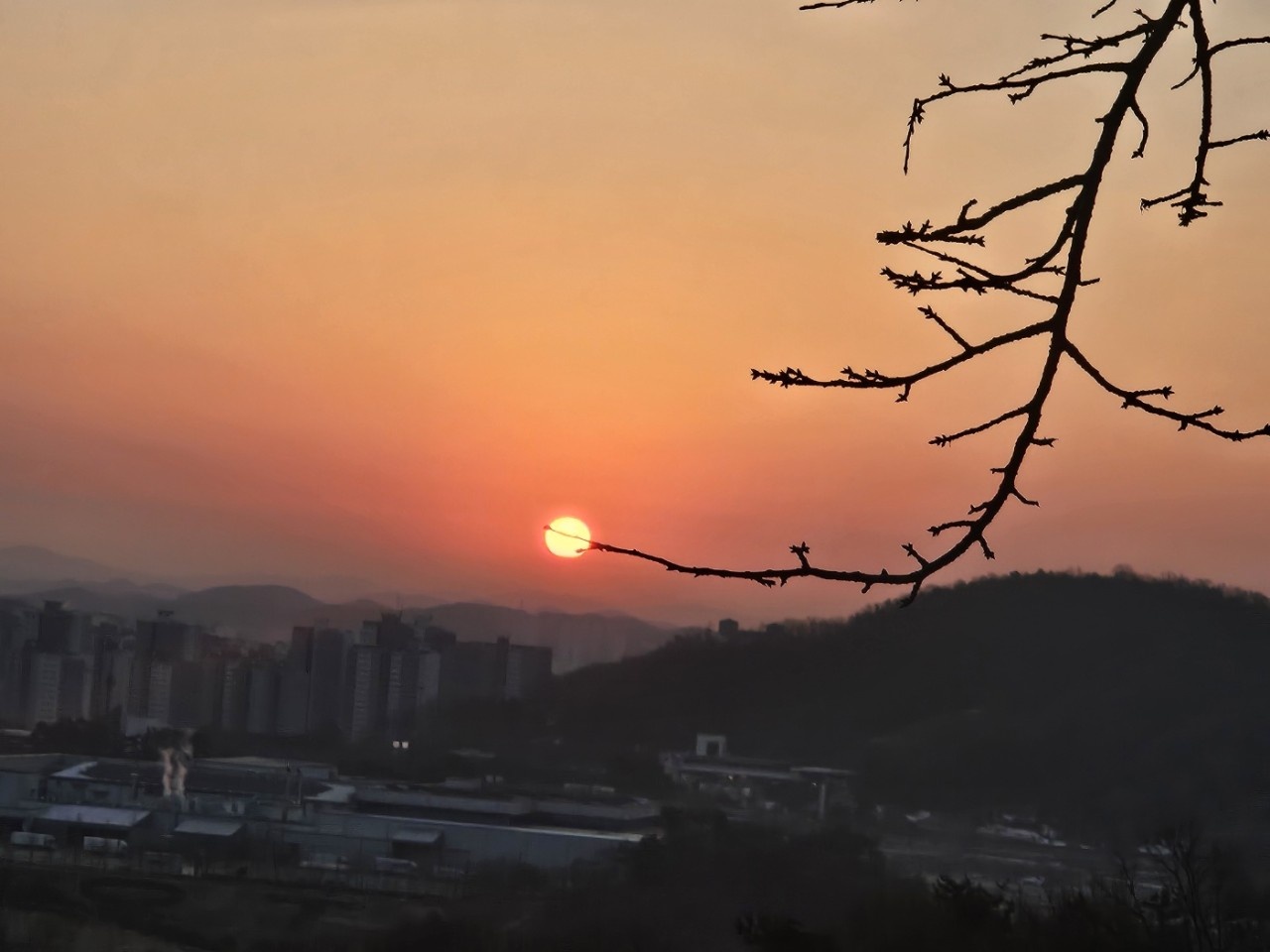 2025 을사년 독산성 해맞이3.jpg